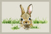 Wash+Dry doormat 50x70cm Country Hare, Anti-fade, anti-slip washable